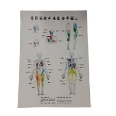 骨節筋膜疼痛區分部套圖(上、下)