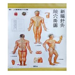 新編針灸腧穴掛圖(1套4張)