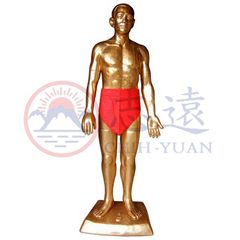 針灸銅人模型(大)