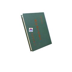 頭針與耳針療法